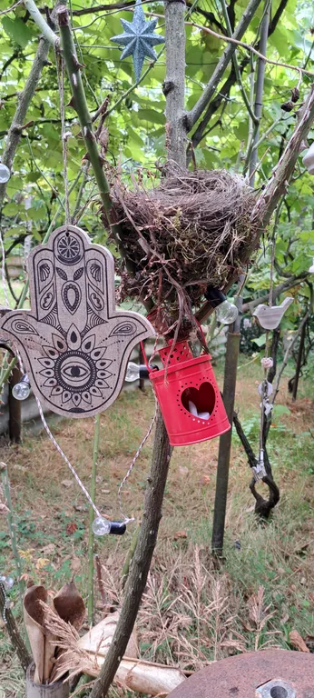 Дом в бамбуках в 500 метрах от моря