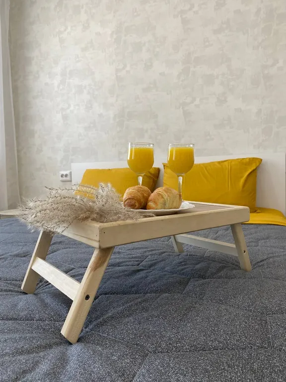 Уютная студия с видом на горы