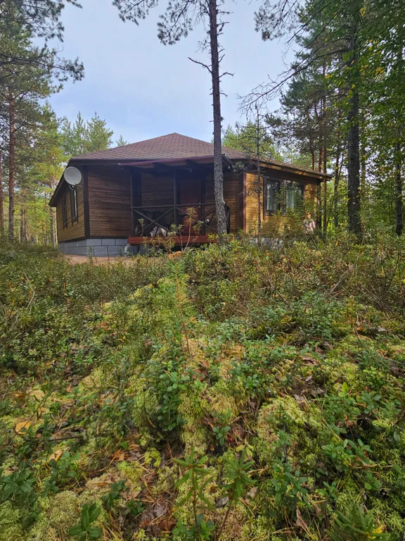 Ильинка в Карелии