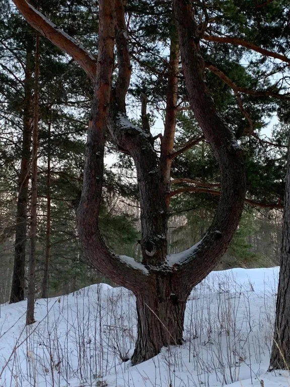 Уютный дом на Онежском озере