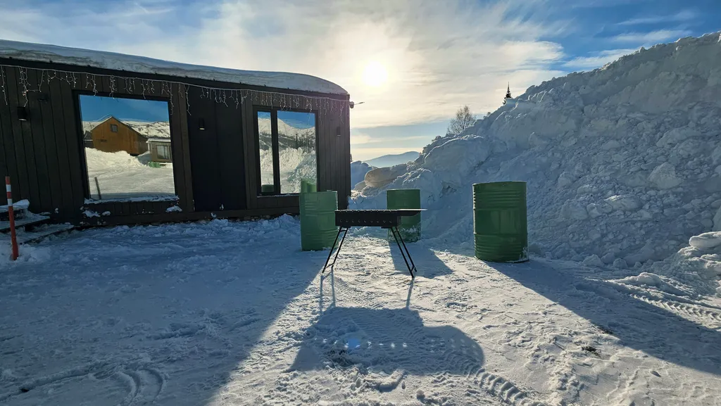 Далеко и надолго