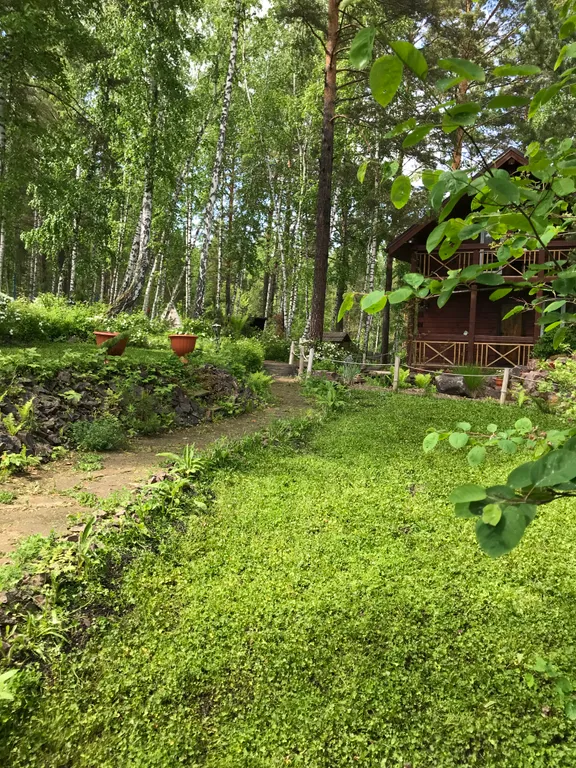 Сказочный дом в лесу