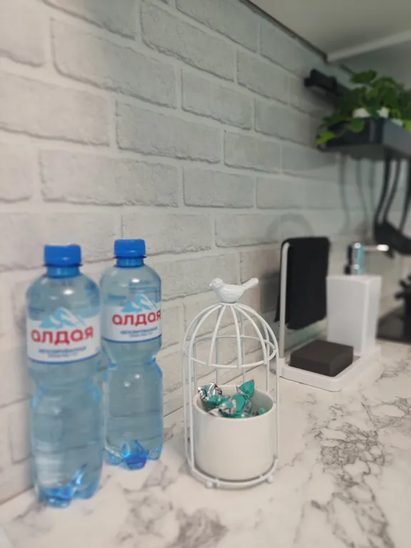 Стильные апартаменты в центре города