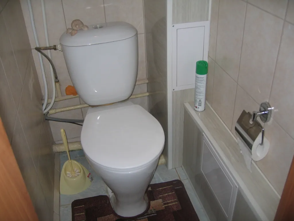 Спутник гостиницы Планеты