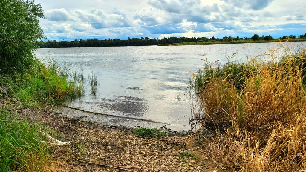 Дом с Русской баней возле Псковского озера