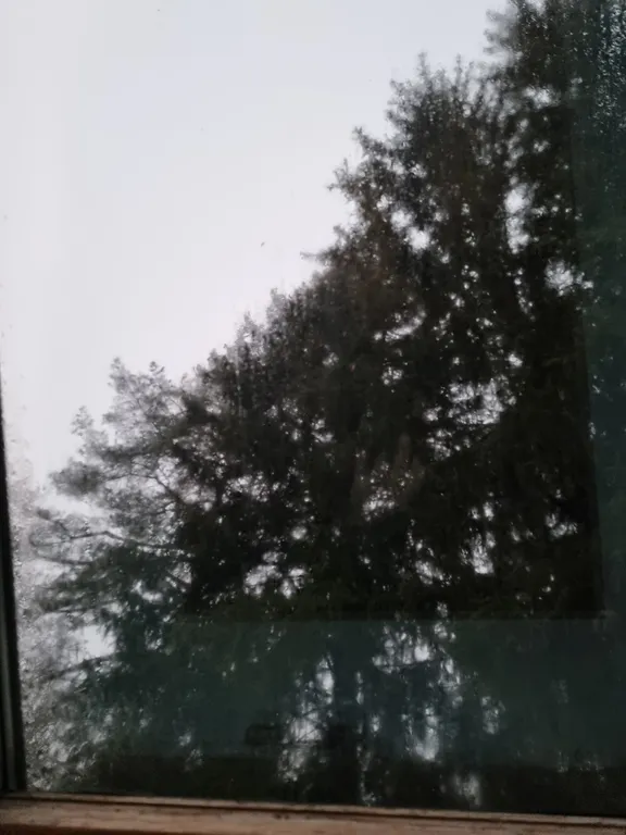 Уютная квартирка в дачном масиве рядом с клиникой Белоостров