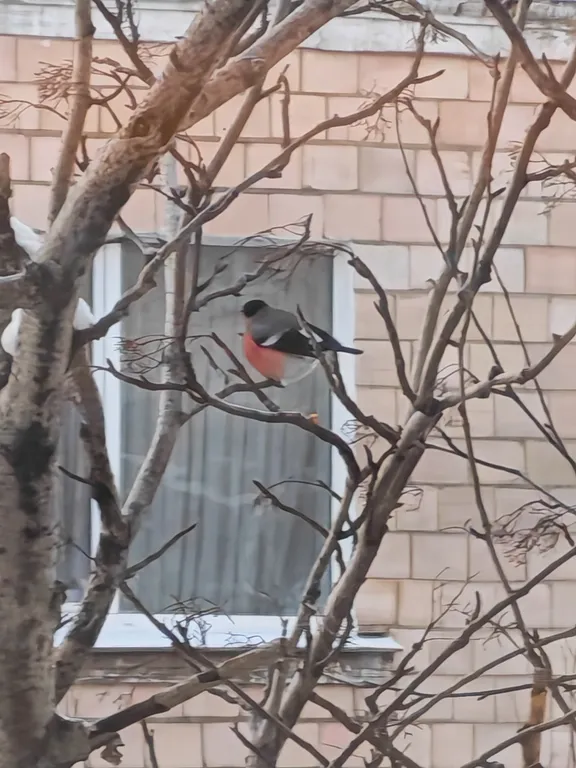 Уютная 2-х комнатная квартира с красивым видом на центральную площадь