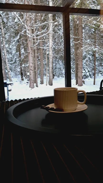 Уютный дом в еловом лесу