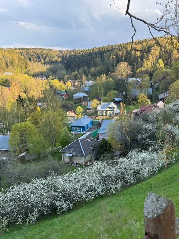 Квартира у пруда