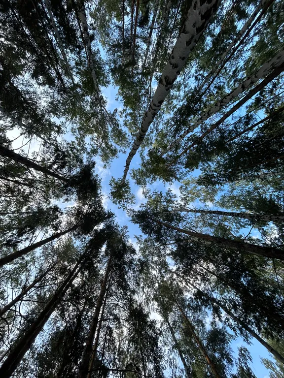 Апартамент на озере Увильды