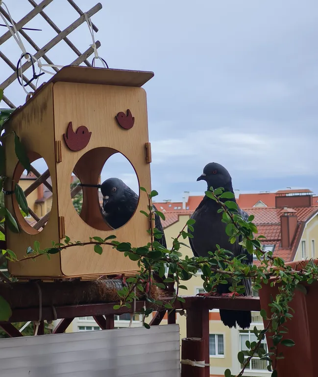 Уютная квартира у моря с сосновым бором