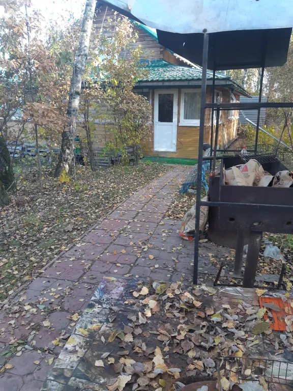 Дом-баня на дровах в деревне