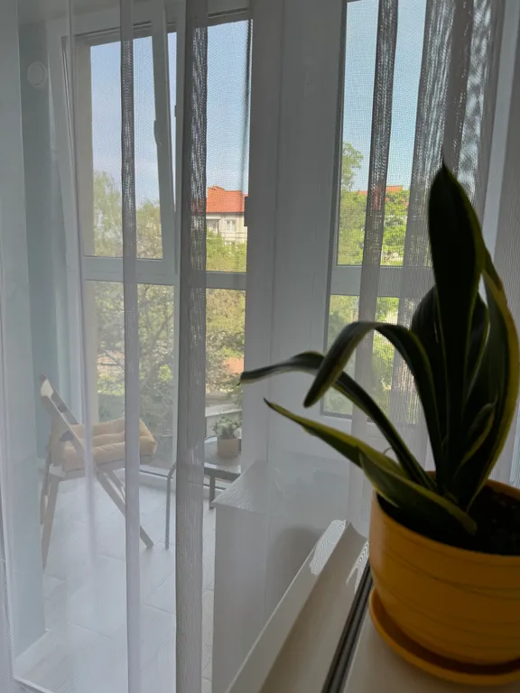 Квартира Комфортная квартира — Светлогорск