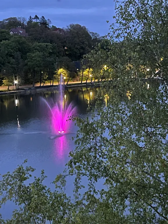 Уютная квартира с видом на озеро и сосновый лес