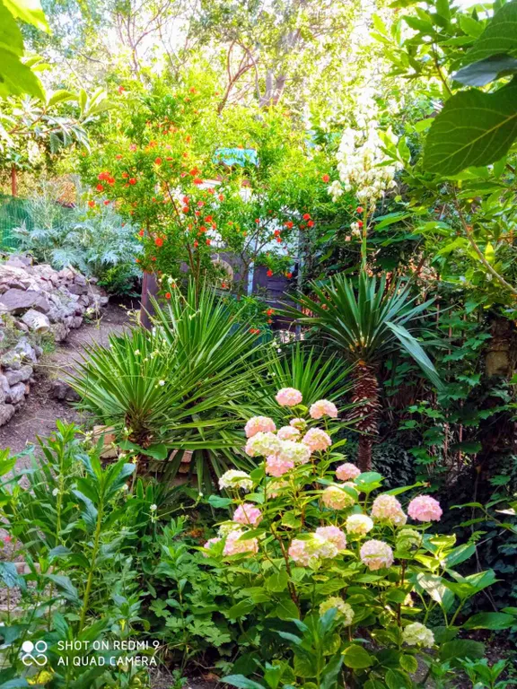 Аппартамент с видом на море