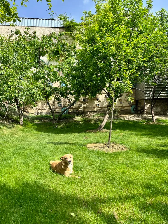 Трёхместный стандартный номер