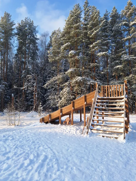 Барнхаус в лесу с голубой гостиной