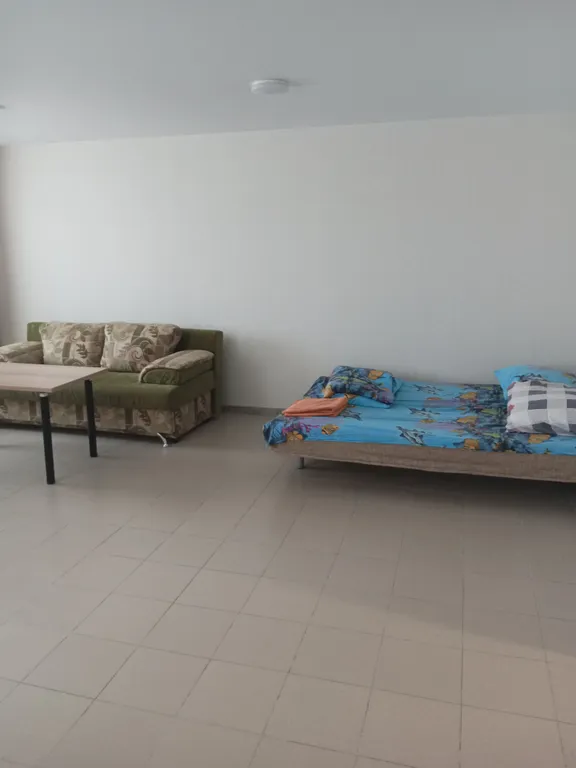 Чистая квартира после ремонта в центре города