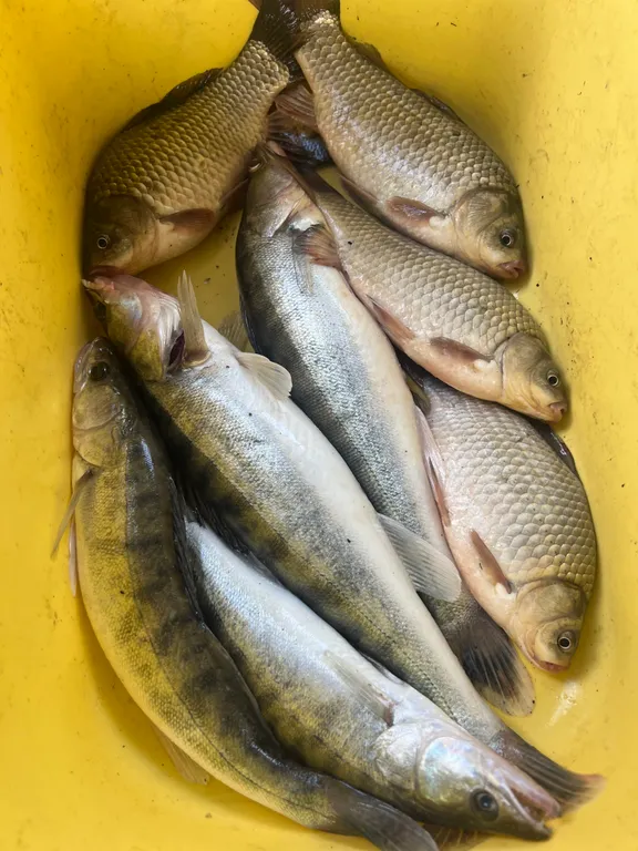 Дом для счастливой рыбалки