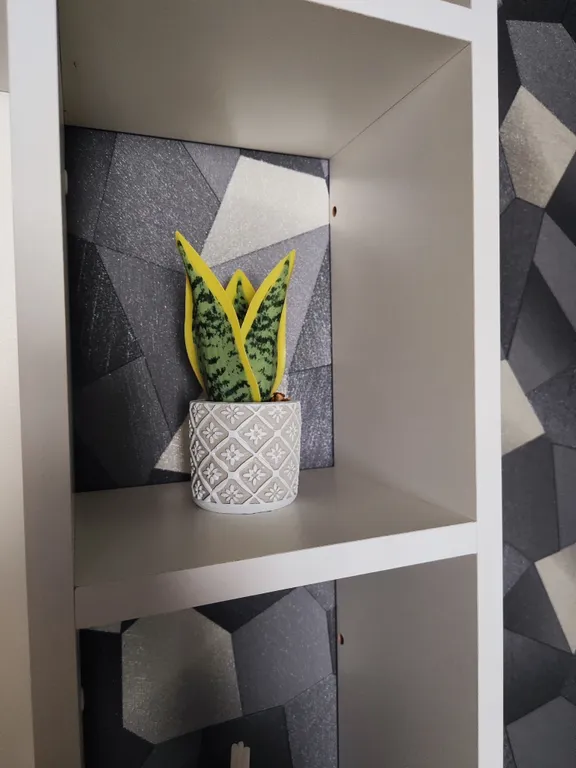 Квартира Уютная квартира — Тихвин