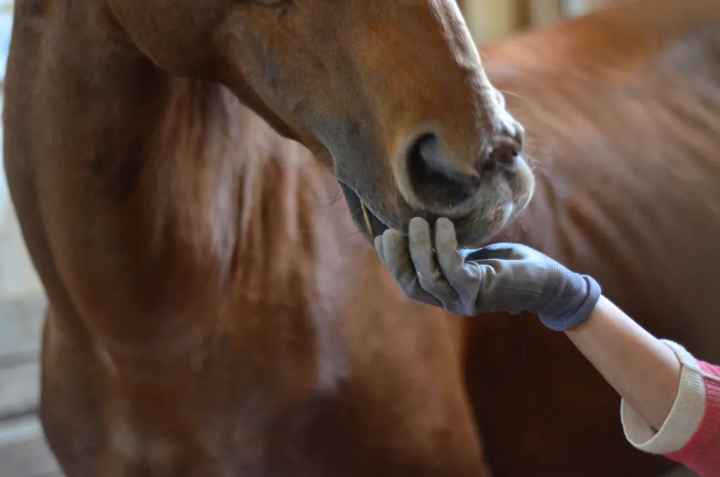 Загородный домик недалеко от города