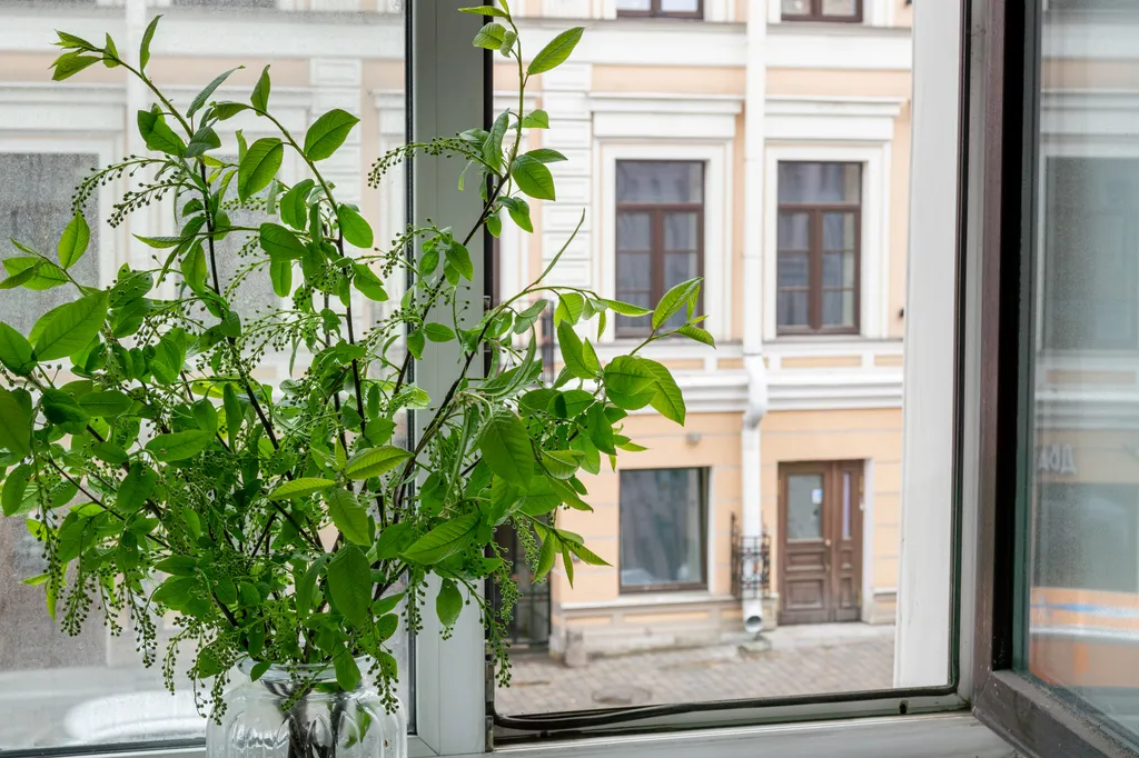 Квартира Комната — Санкт-Петербург