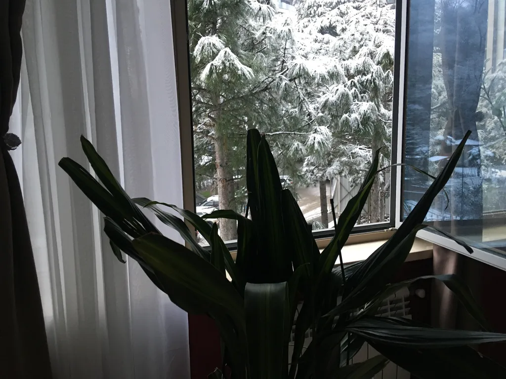 Панорамный апарт Прованс дома Зазеркалье в Приморском  парке