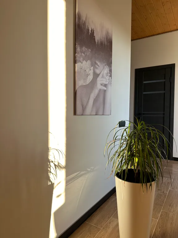 Дом в лесу с баней и бассейном