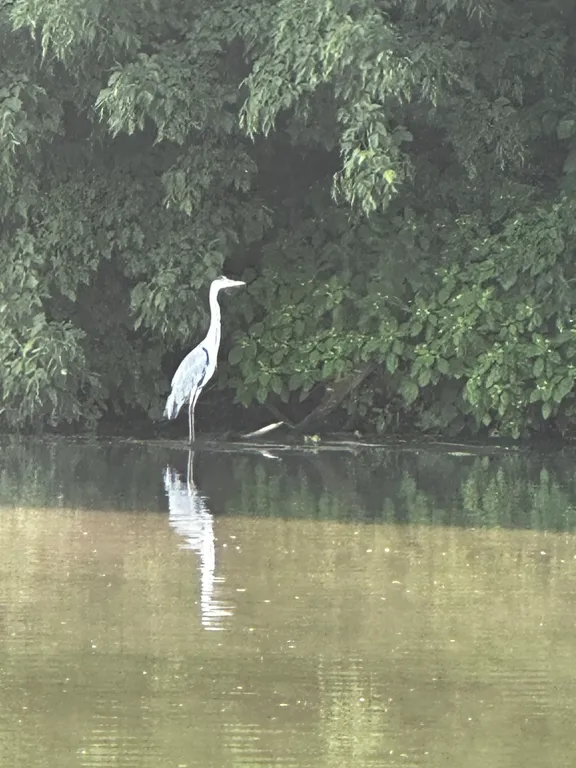 Дом на реке