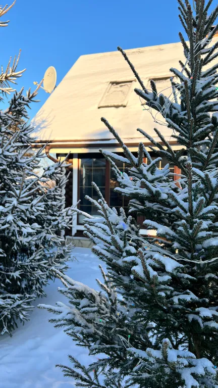 Дом шале Седельниково