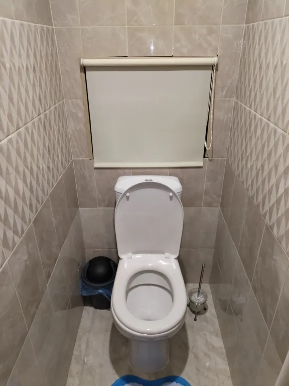 ТЦ Трио, Мега, Ледовый дворец