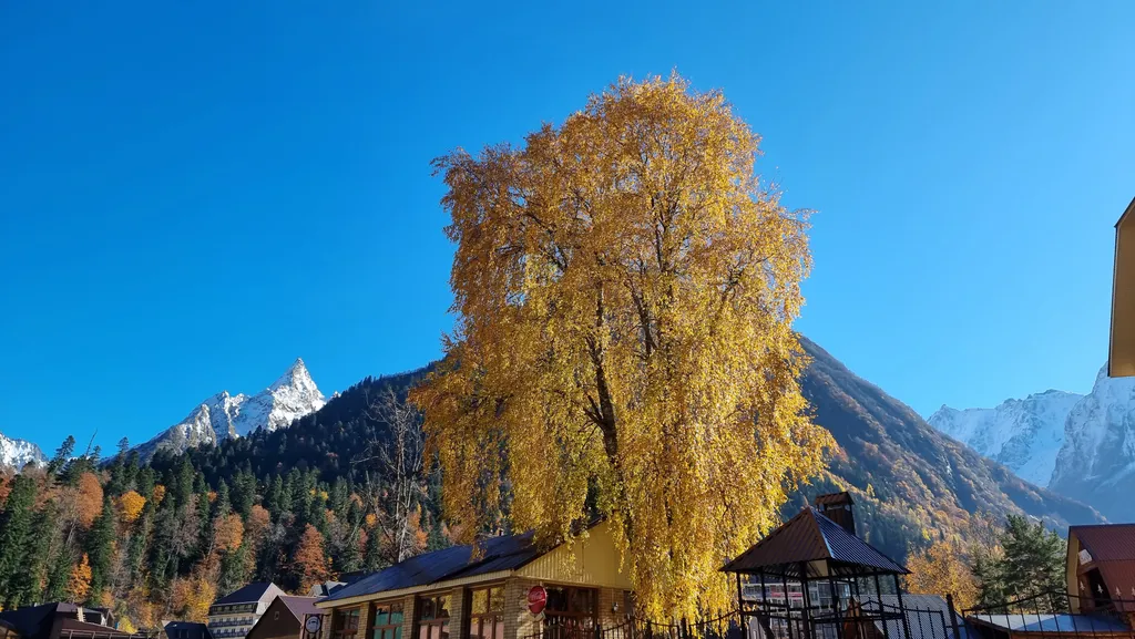 Уютные апартаменты в центре с панорамным видом на горы