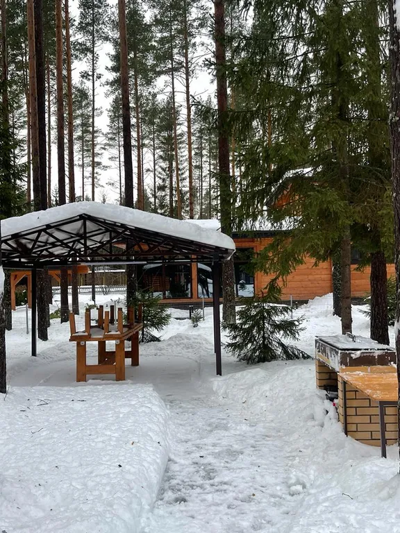 Царство Королевство - 2