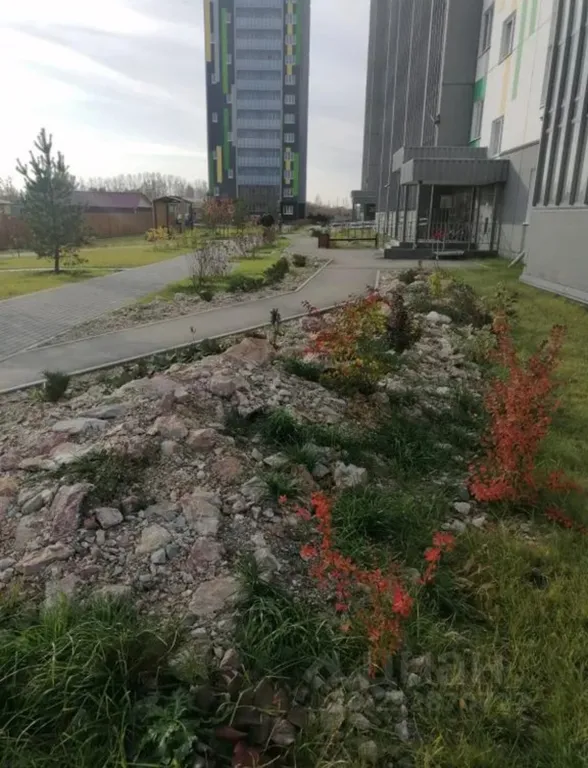 Квартира Уютная квартира рядом с Аэропортом Толмачево — Обь