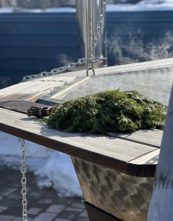 Дом из цельного массива с баней