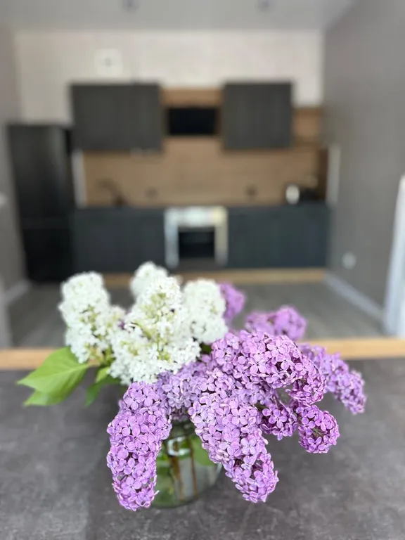 Коттедж «Люкс»