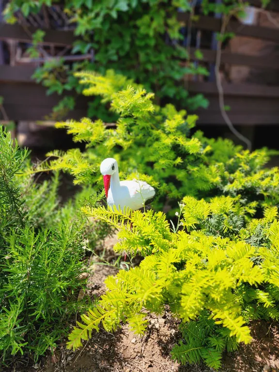 Домик у моря Оленевка