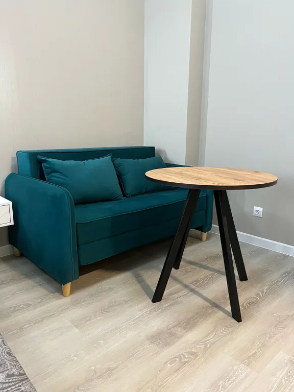 Студия с видом на озеро