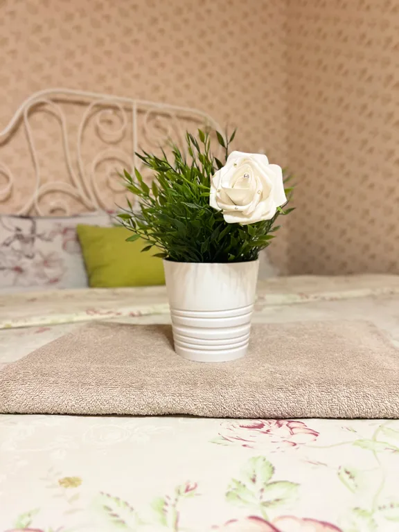 Квартира от хозяина