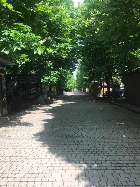 Квартира Уютная квартира в центре с окнами в парк — Владикавказ