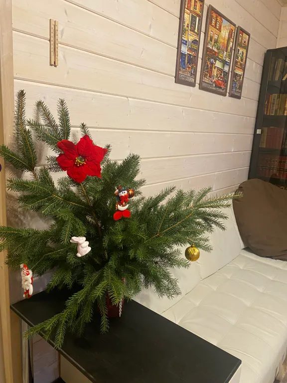 3-комнатный Дом