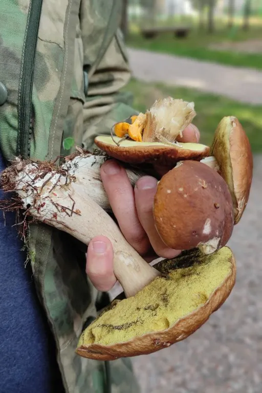 Уютный домик №4 в лесу