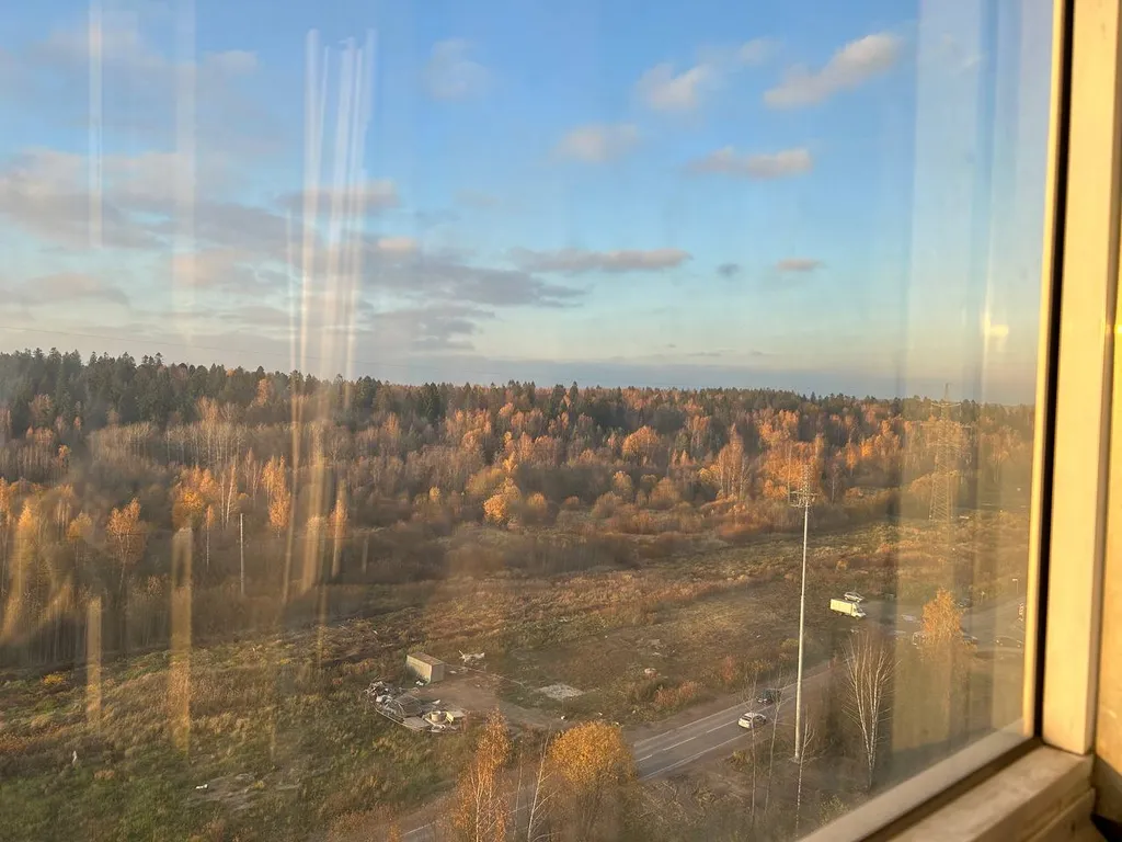 Новая студия с видом на парк