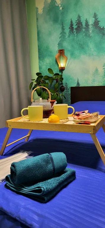 Уютные апартаменты с джакузи в самом центре Выборга