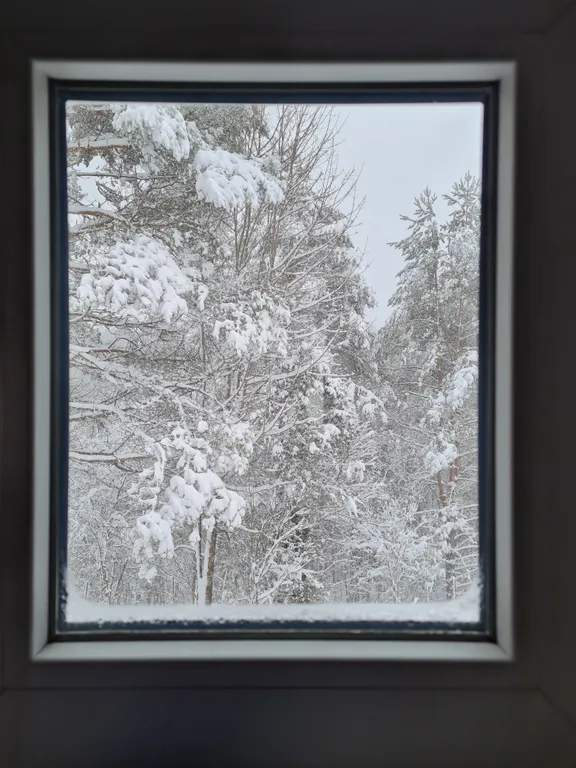 Коттедж Коттеджи у озера — Луга