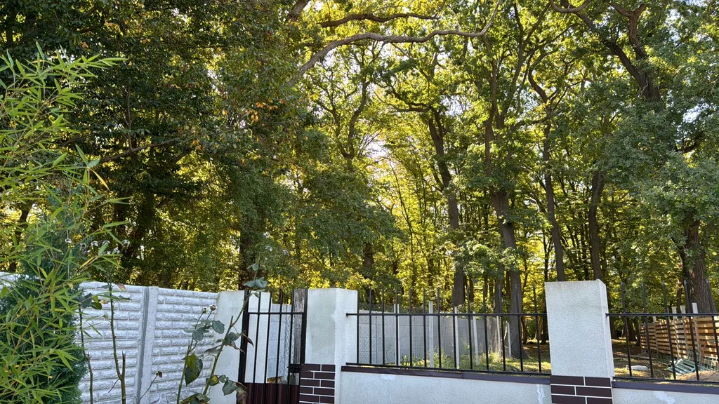 Лесная усадьба