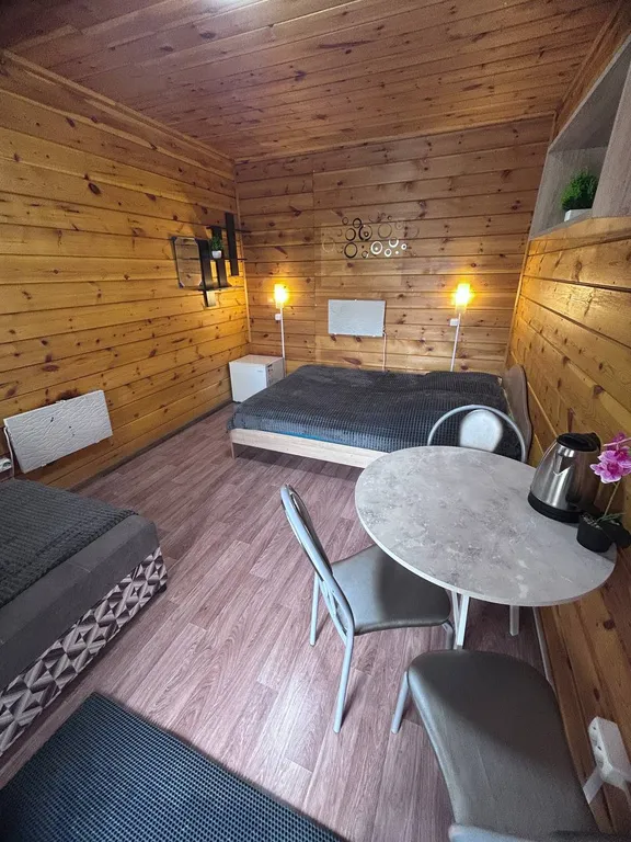 Уютный номер с двухместной кроватью и кресло-кроватью №2