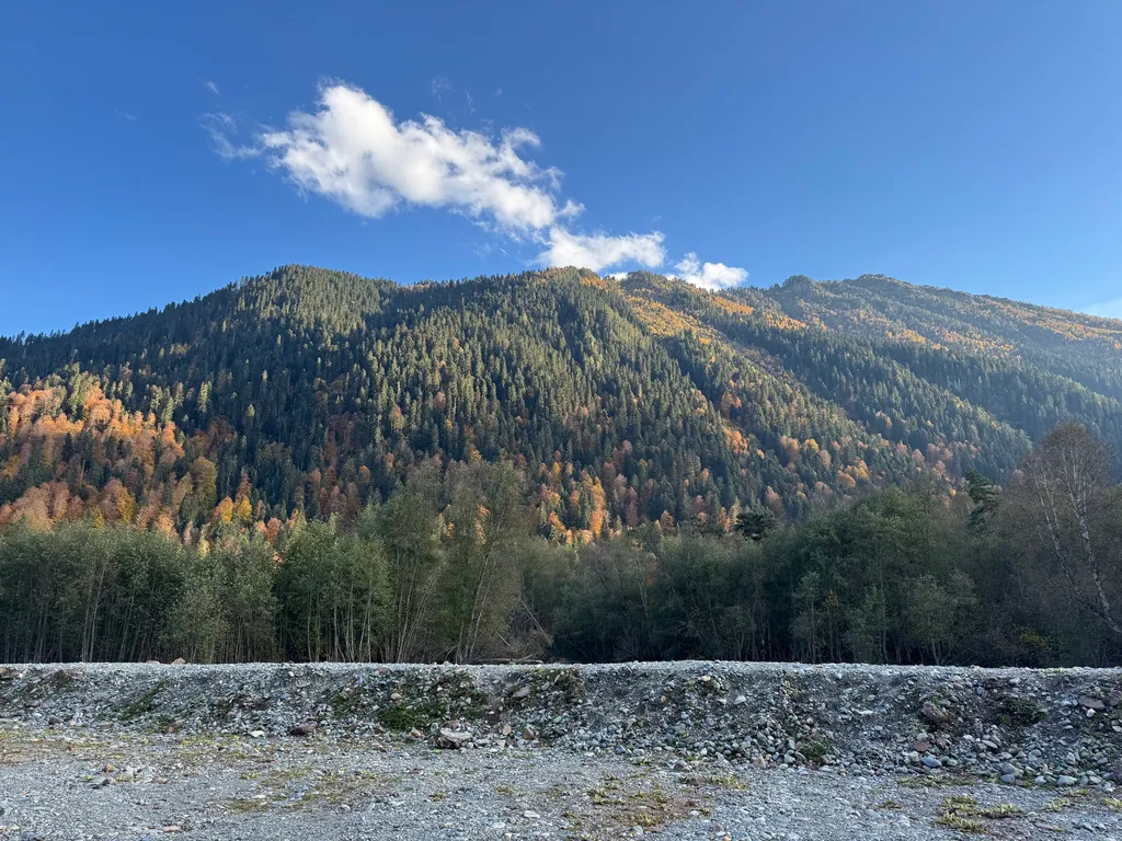 Новый коттедж в лесу