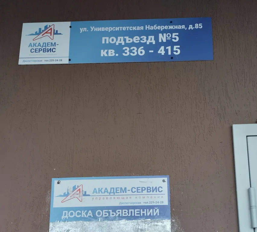 Уютная студия с красивым видом на лес