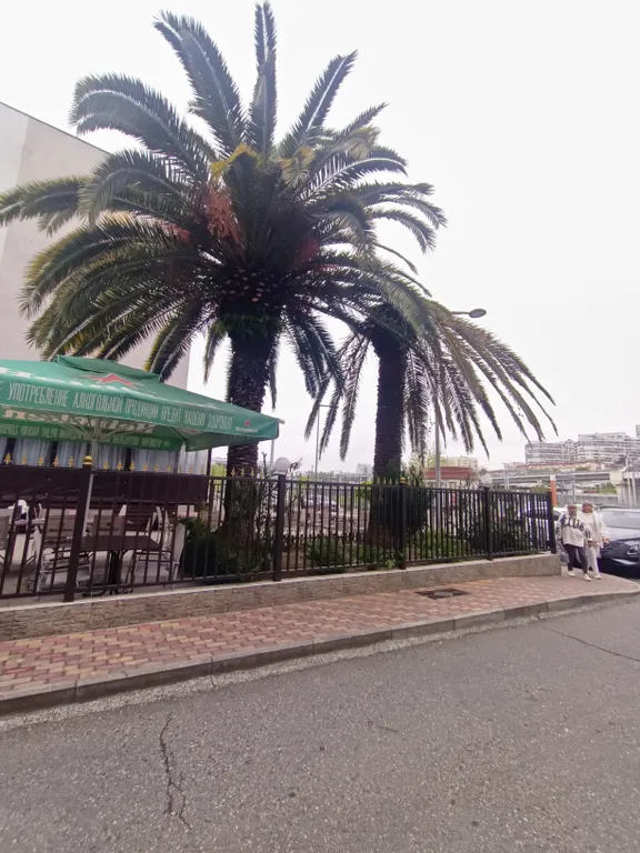 Квартира у моря